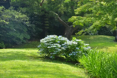 DSC_3388 (Large).JPG